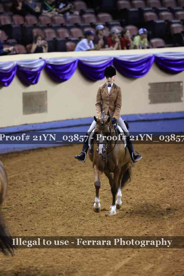 Proof 21YN_03857