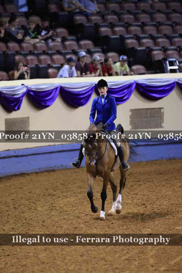 Proof 21YN_03858