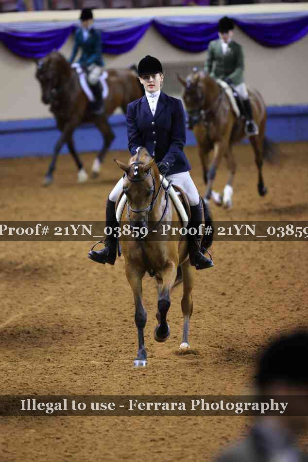 Proof 21YN_03859