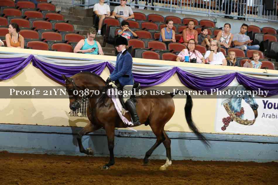 Proof 21YN_03870
