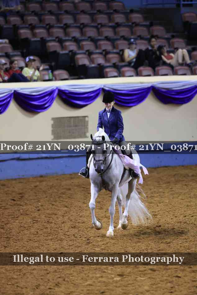 Proof 21YN_03871