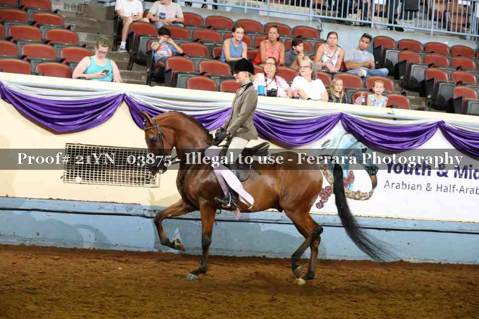 Proof 21YN_03875