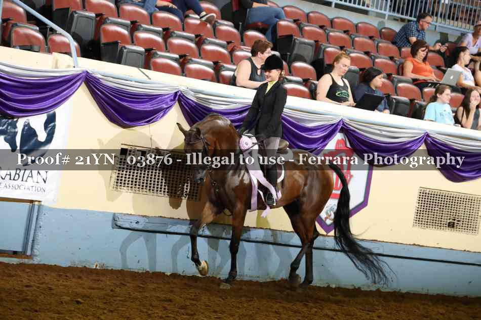 Proof 21YN_03876