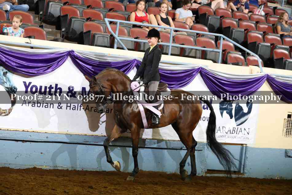 Proof 21YN_03877