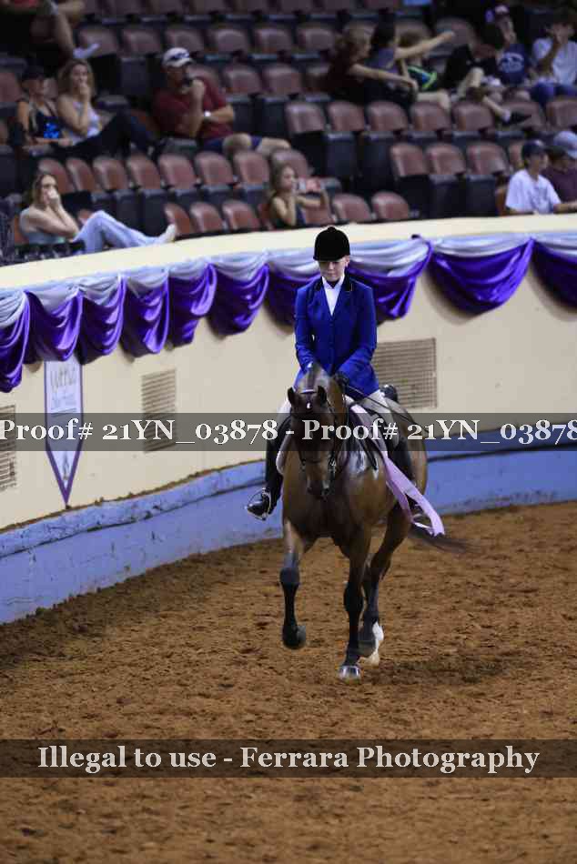 Proof 21YN_03878