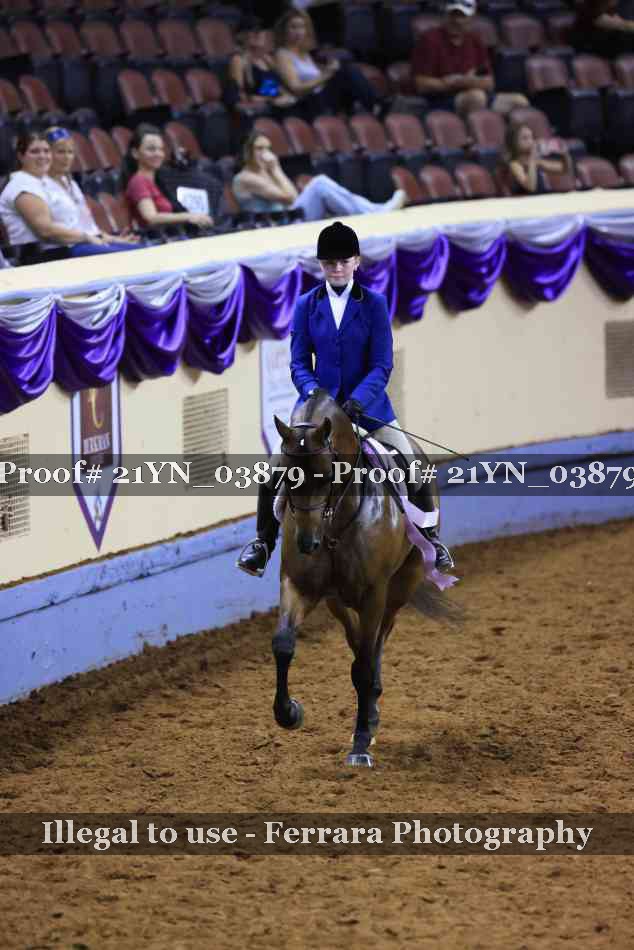 Proof 21YN_03879