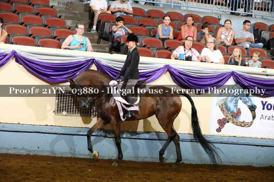 Proof 21YN_03880