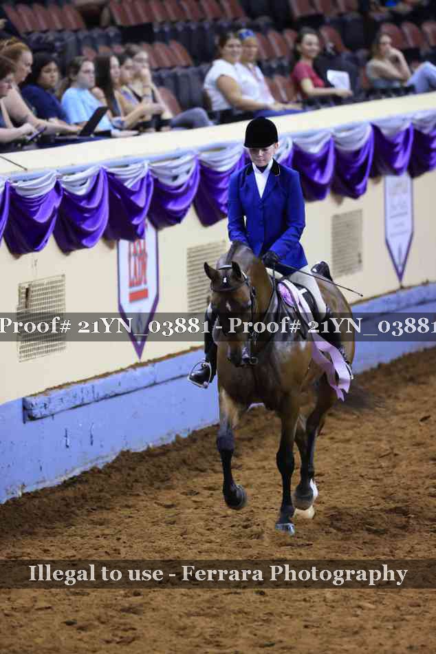 Proof 21YN_03881