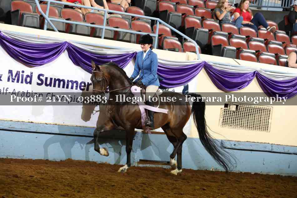 Proof 21YN_03883
