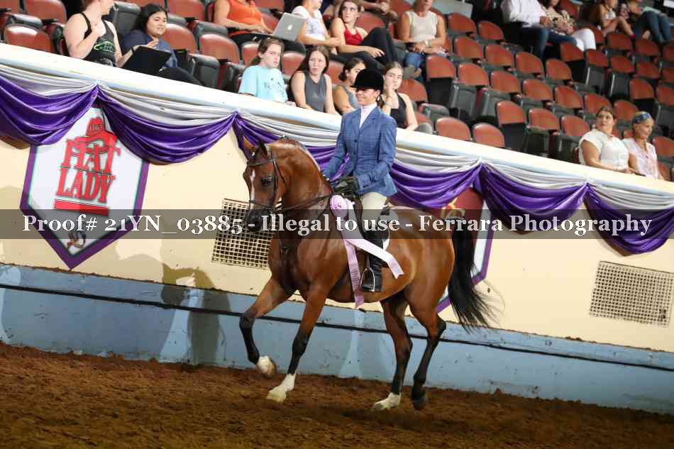 Proof 21YN_03885
