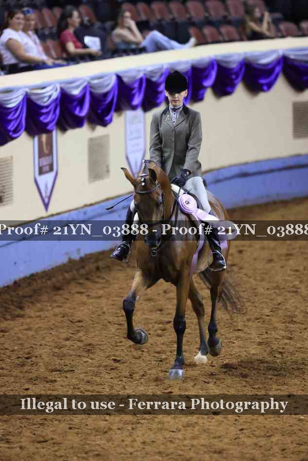 Proof 21YN_03888