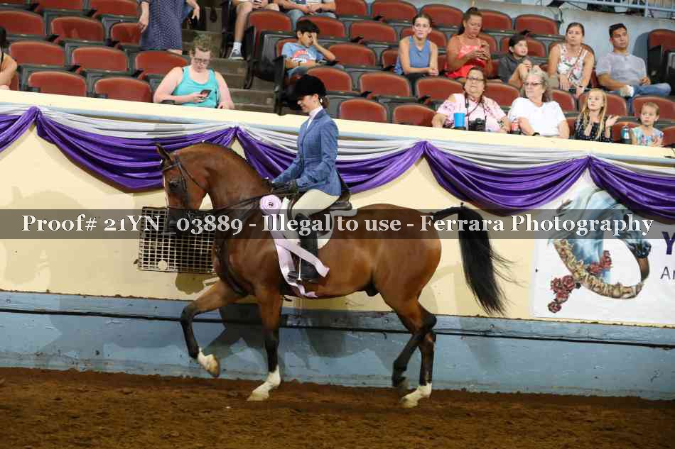 Proof 21YN_03889