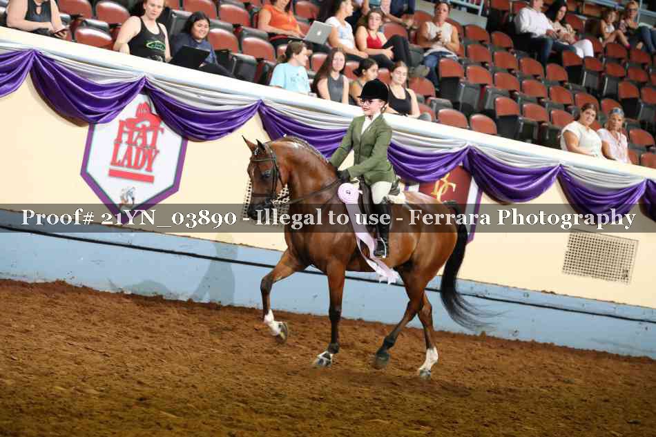 Proof 21YN_03890