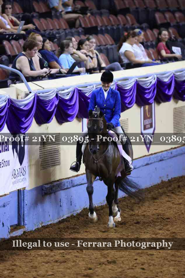 Proof 21YN_03895