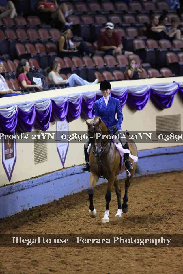 Proof 21YN_03896