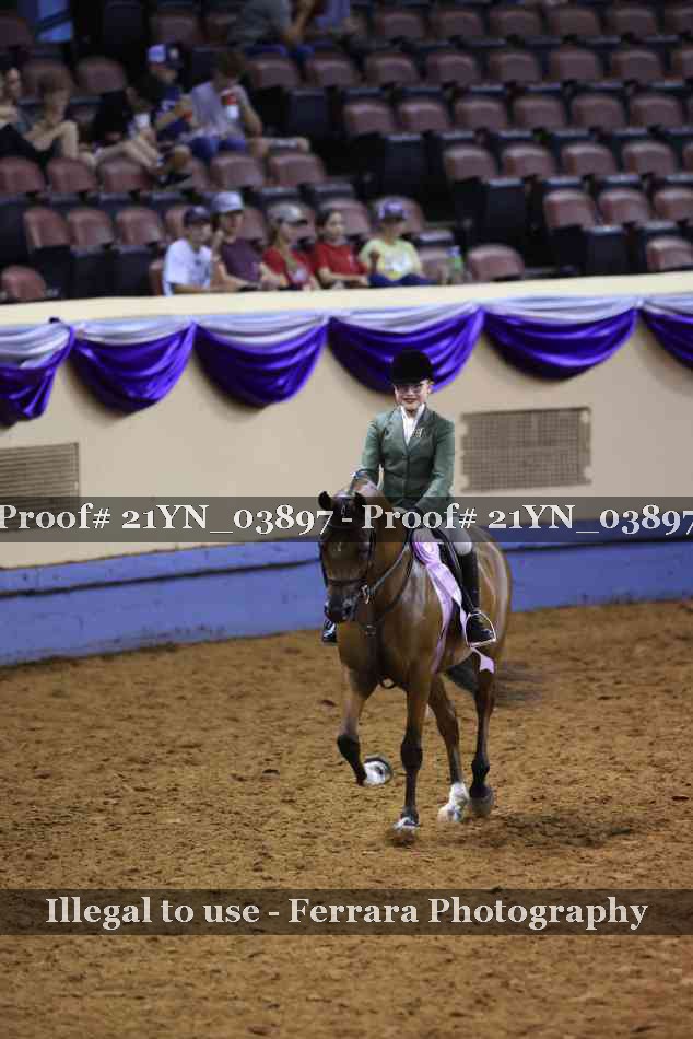 Proof 21YN_03897