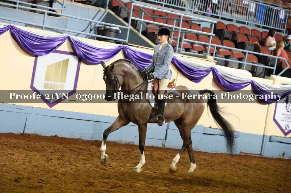 Proof 21YN_03900