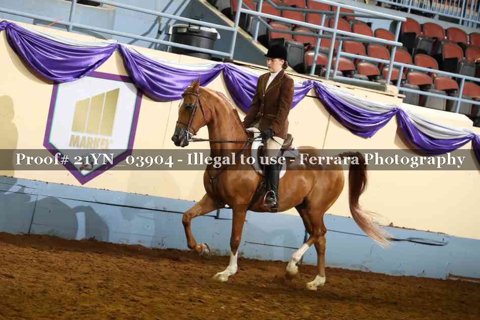 Proof 21YN_03904