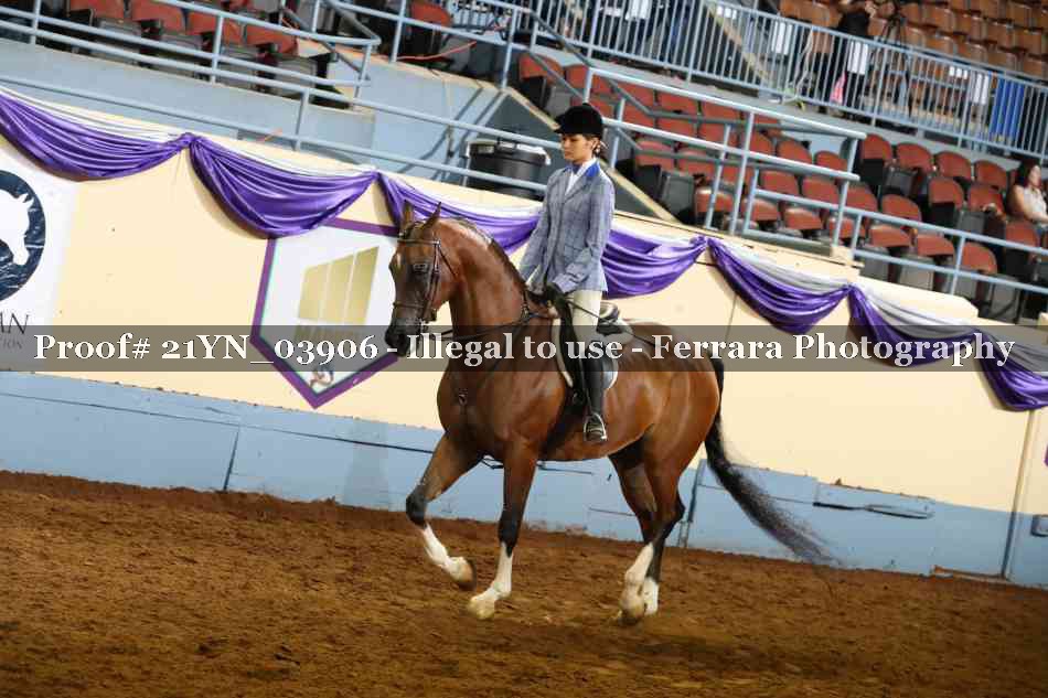 Proof 21YN_03906