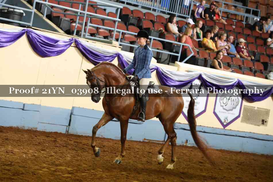 Proof 21YN_03908