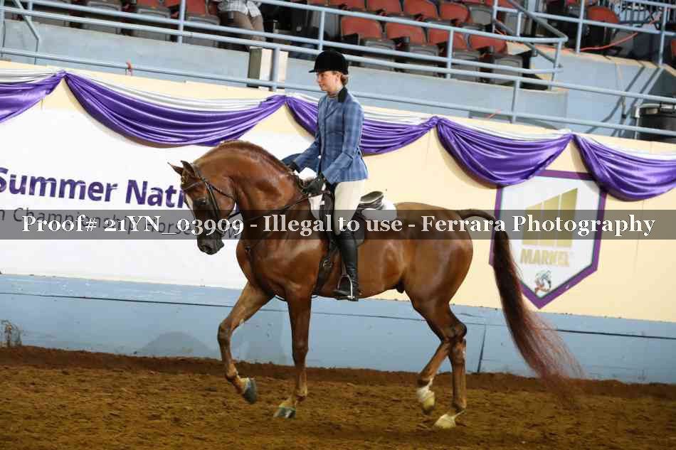 Proof 21YN_03909