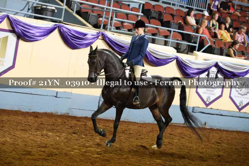 Proof 21YN_03910