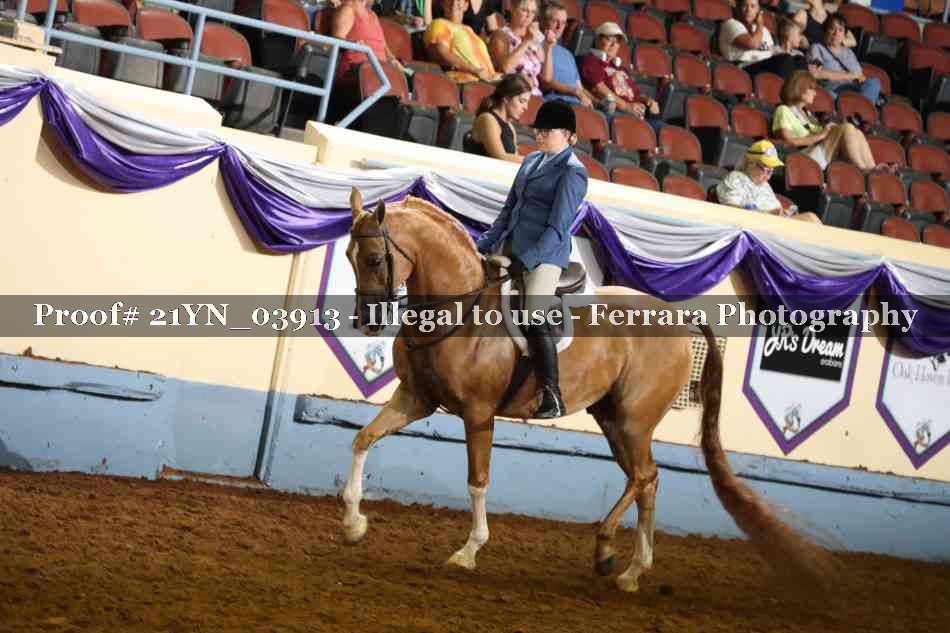 Proof 21YN_03913