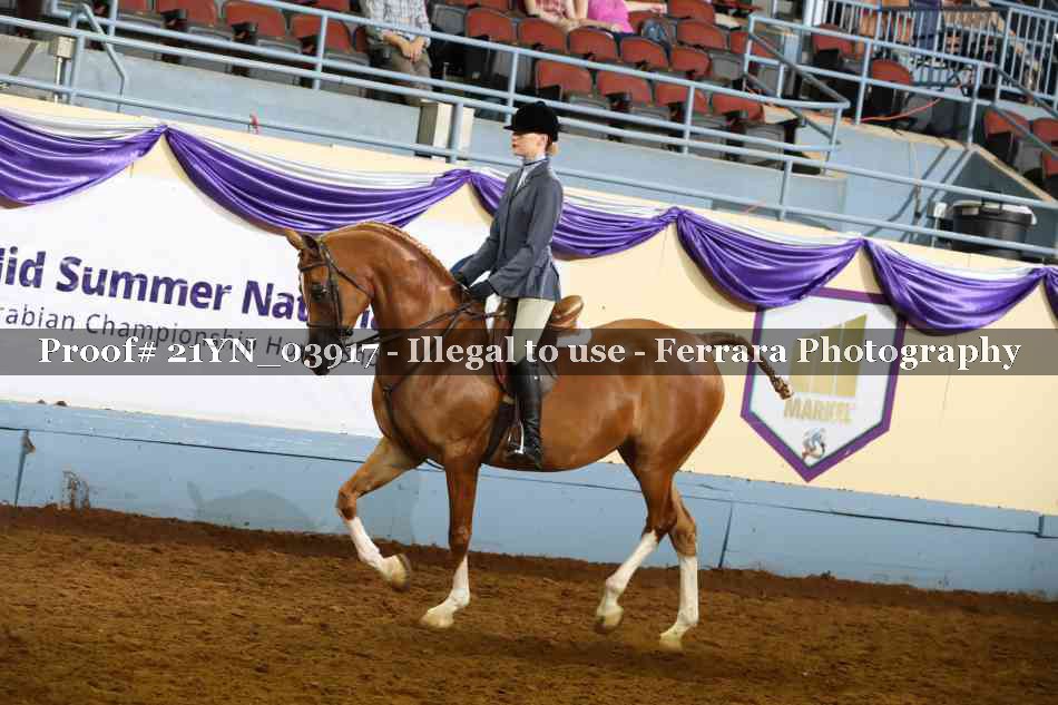 Proof 21YN_03917