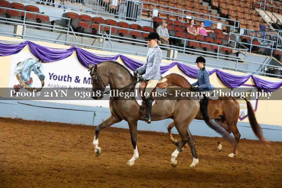 Proof 21YN_03918
