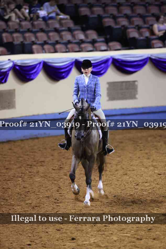 Proof 21YN_03919