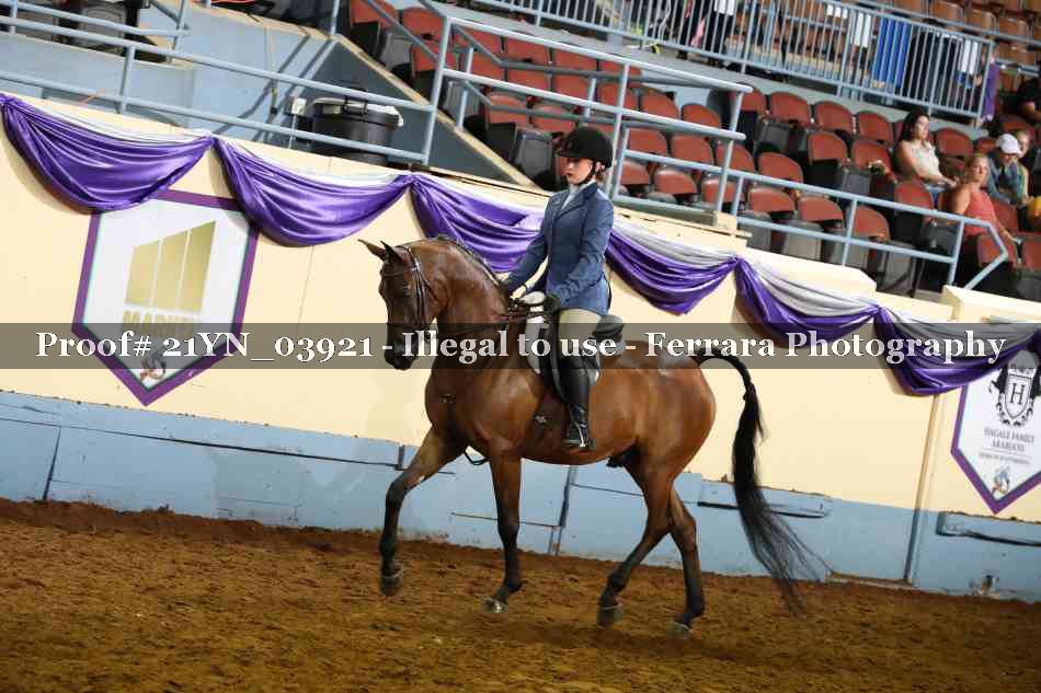 Proof 21YN_03921