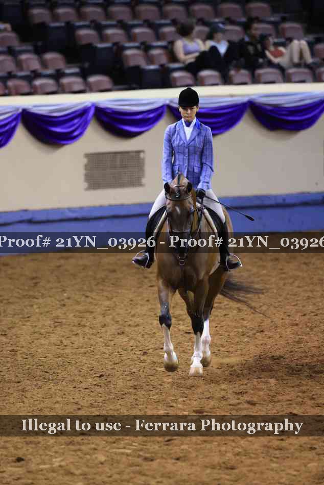 Proof 21YN_03926