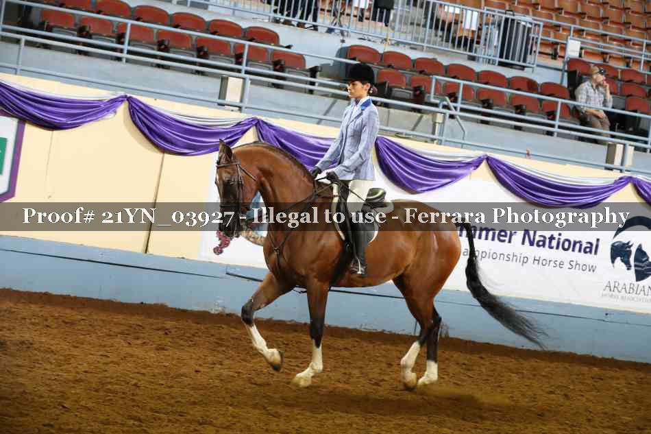 Proof 21YN_03927