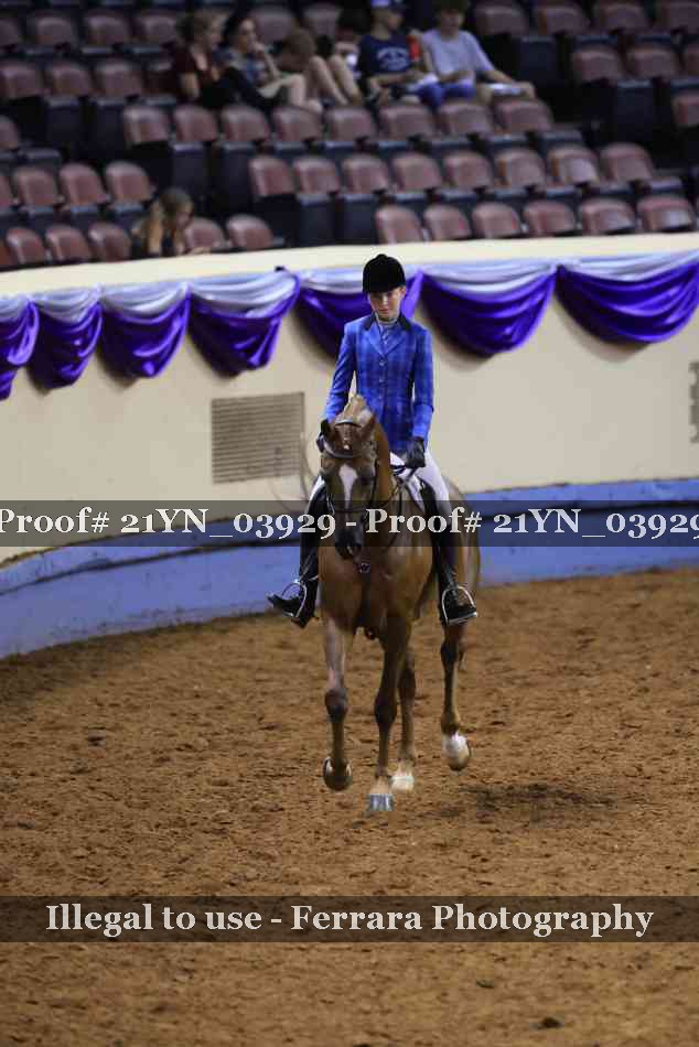 Proof 21YN_03929
