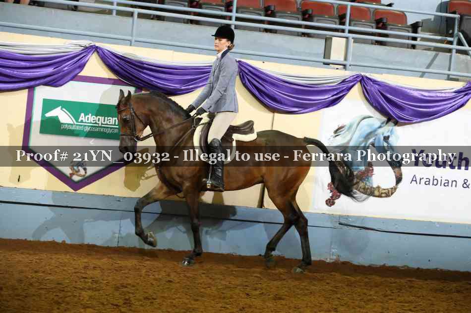 Proof 21YN_03932