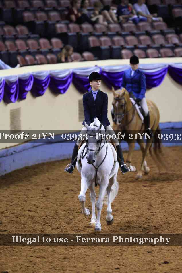 Proof 21YN_03933