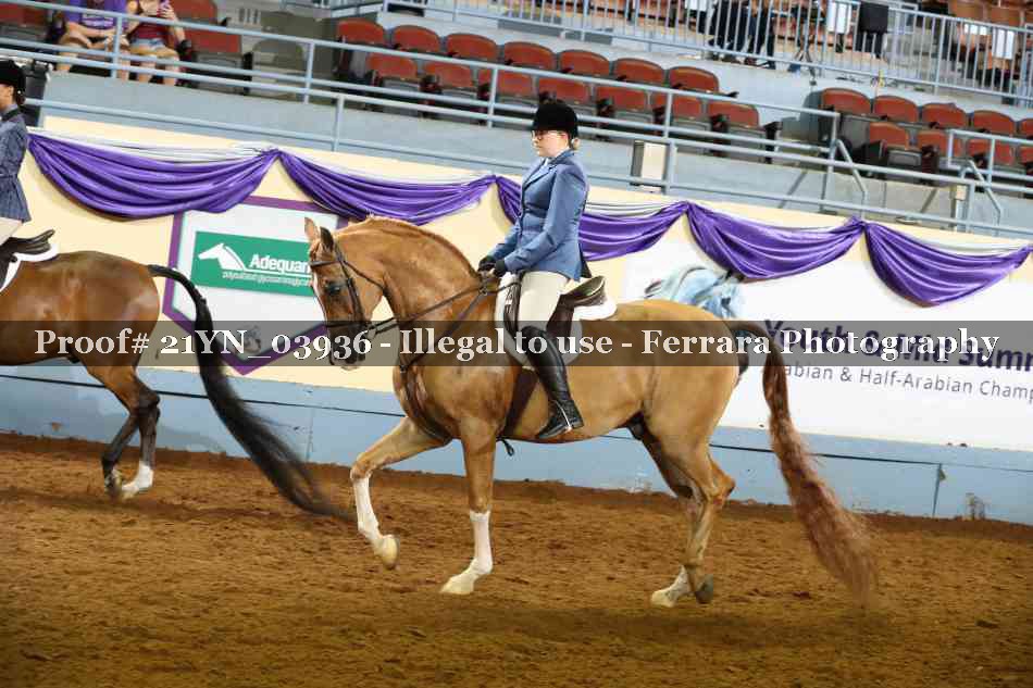 Proof 21YN_03936