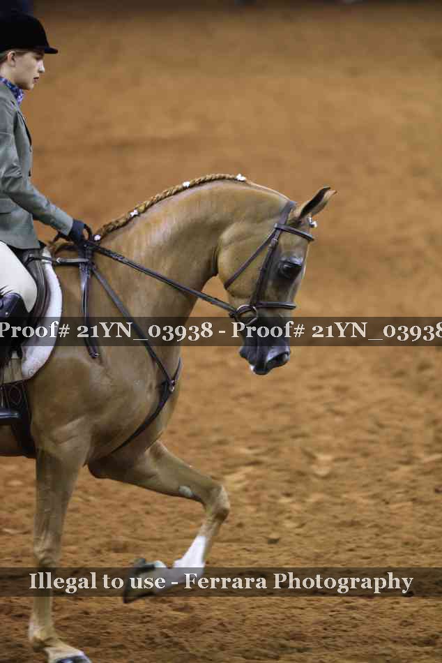 Proof 21YN_03938