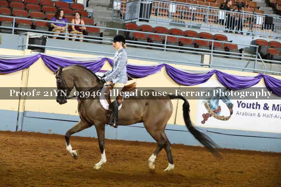 Proof 21YN_03946