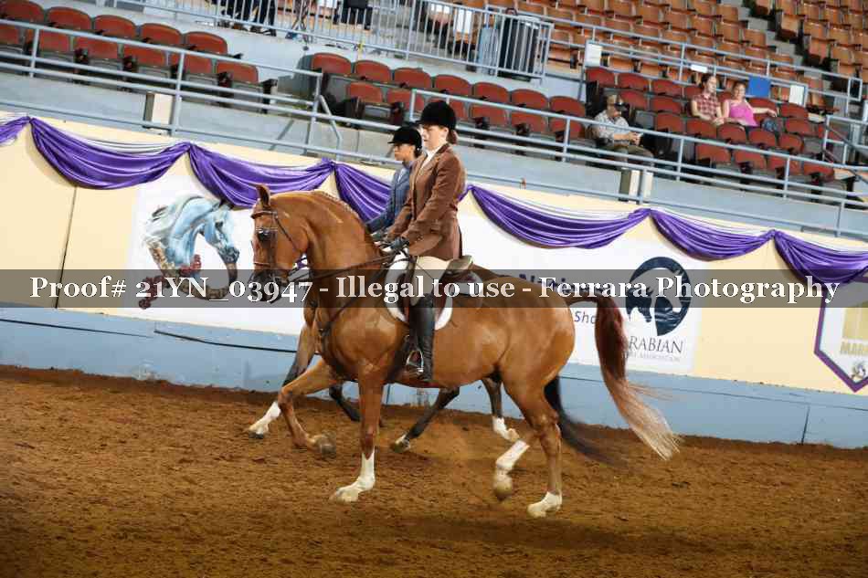 Proof 21YN_03947