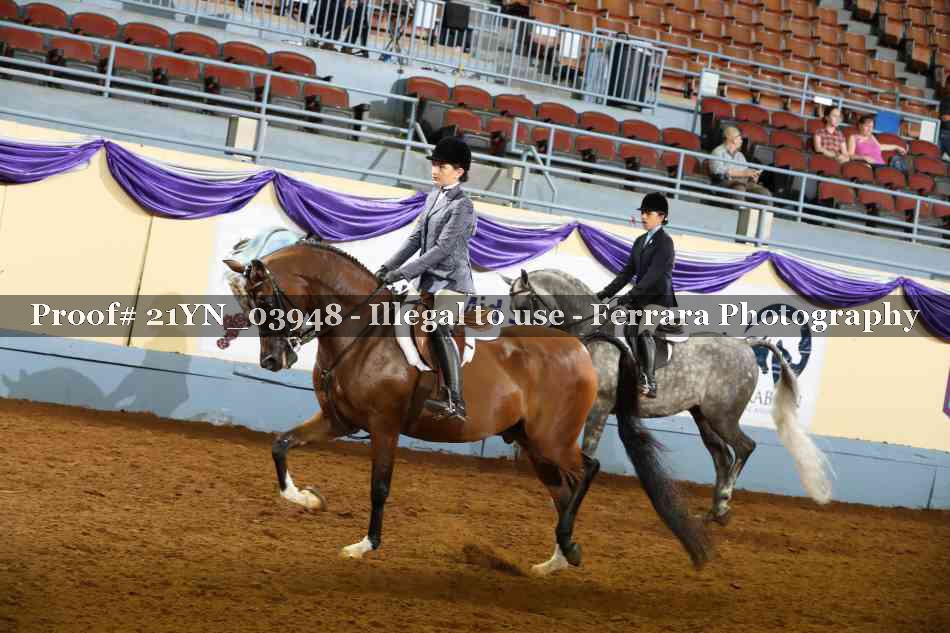 Proof 21YN_03948