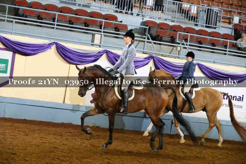 Proof 21YN_03950