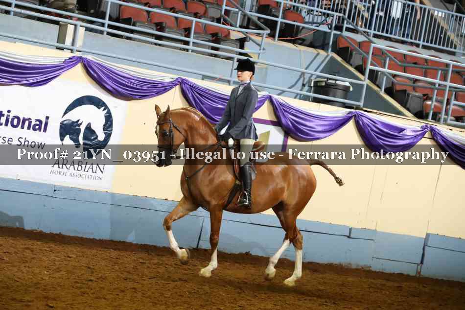 Proof 21YN_03951
