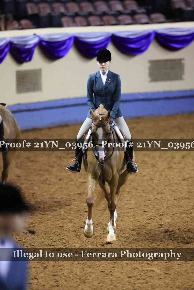 Proof 21YN_03956