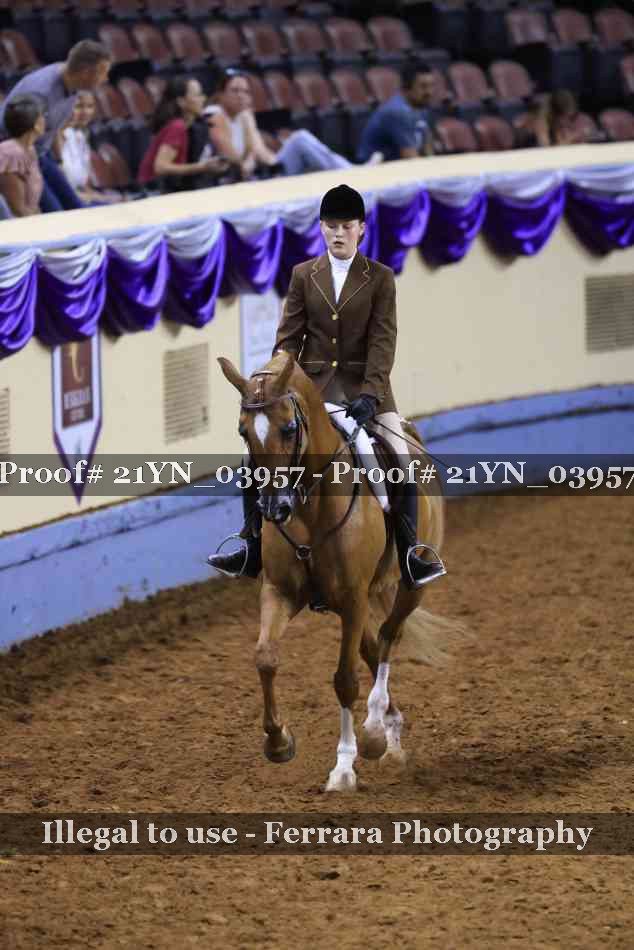 Proof 21YN_03957
