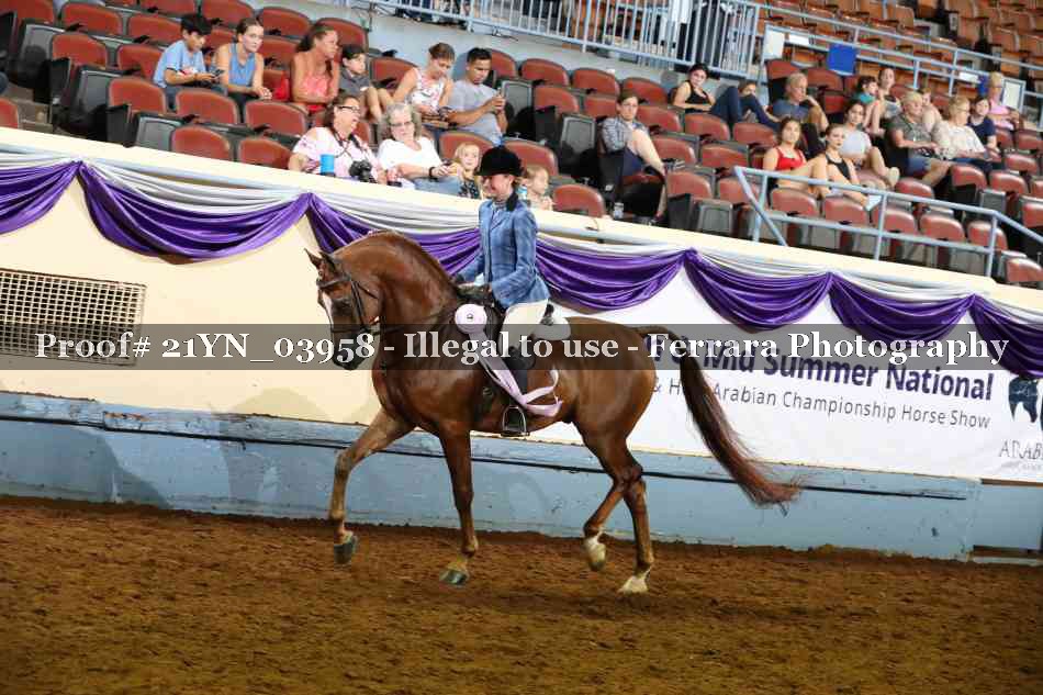 Proof 21YN_03958