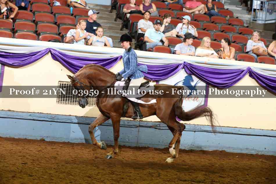 Proof 21YN_03959