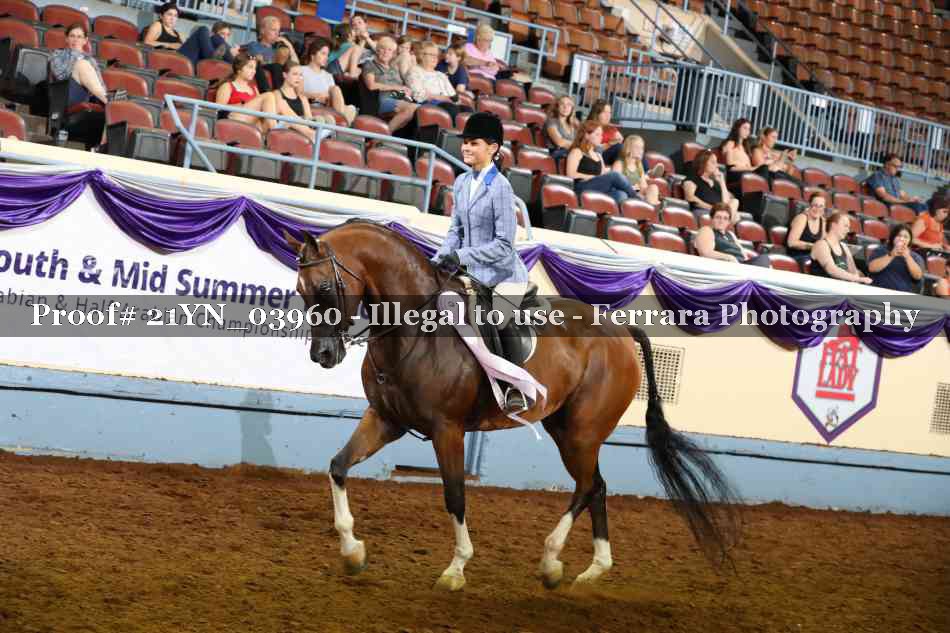 Proof 21YN_03960