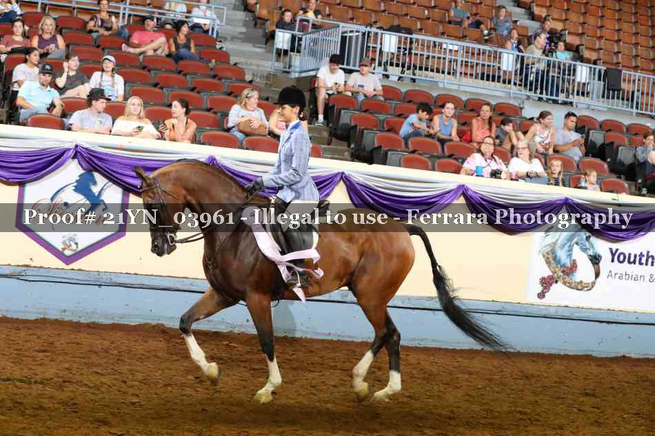 Proof 21YN_03961