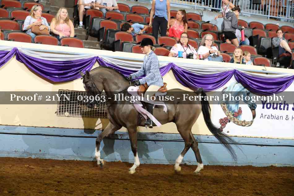 Proof 21YN_03963